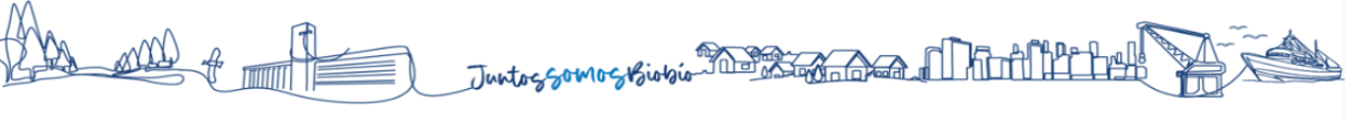 Juntos somos Biobío